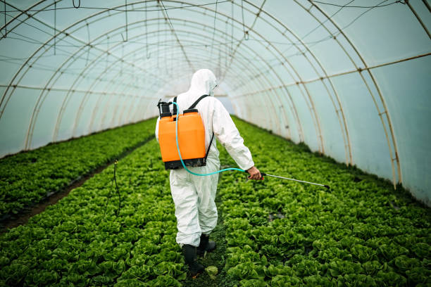 Best Emergency Pest Control  in Coaldale, PA