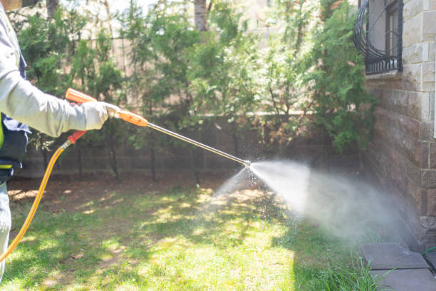 Best Local Pest Control Services  in Coaldale, PA