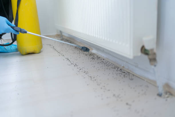 Pest Control Cost in Coaldale, PA
